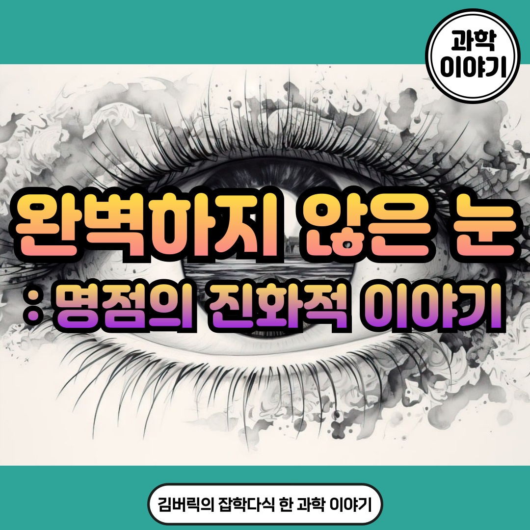 맹점의 진화와 자연선택