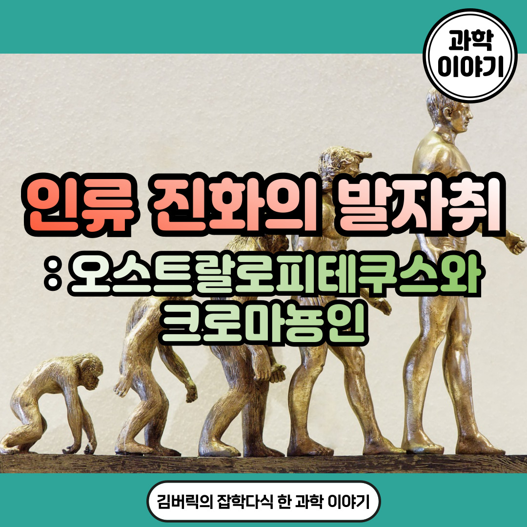 오스트랄로피테쿠스와 크로마뇽인