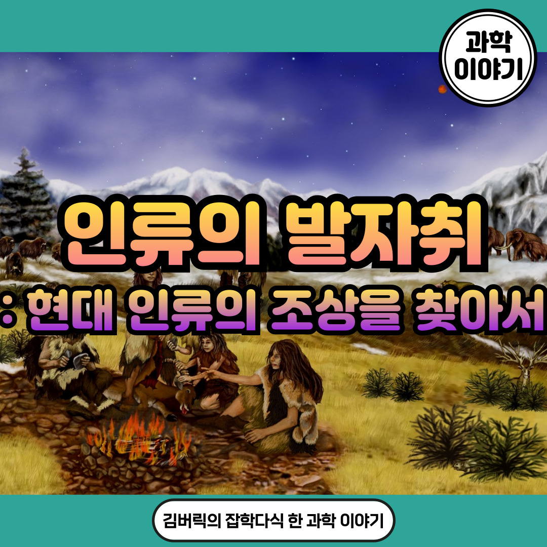 Homo 속의 데니소바인 크로마뇽인 네안데르탈인