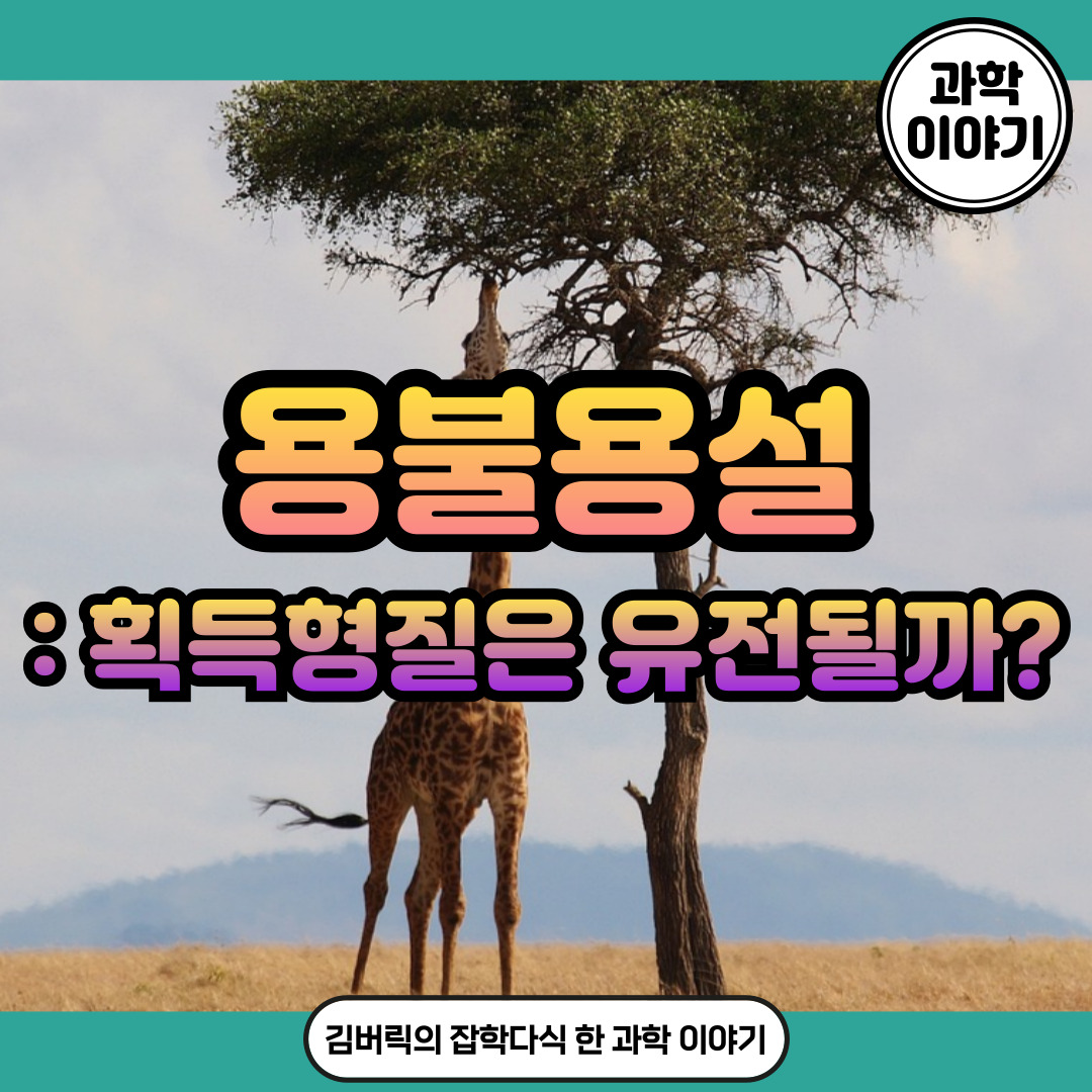 라마르크의 용불용설
