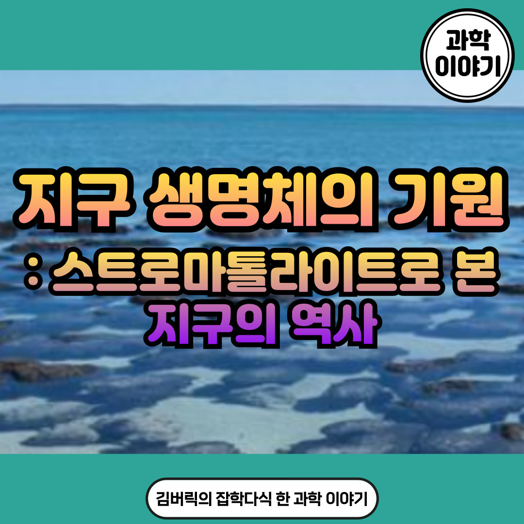 스트로마톨라이트