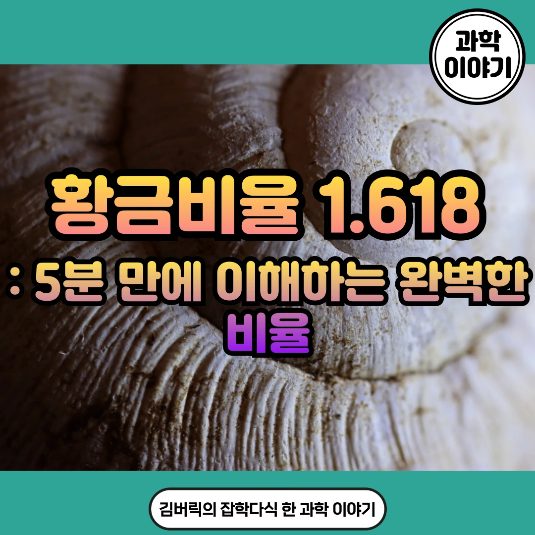 황금비율과 피보나치수열