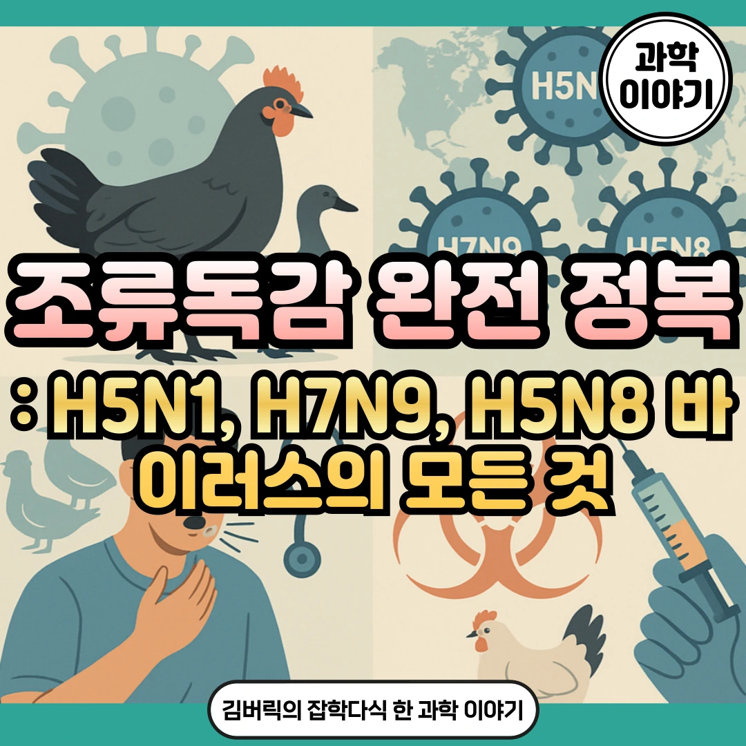 조류독감과 조류 인플루엔자