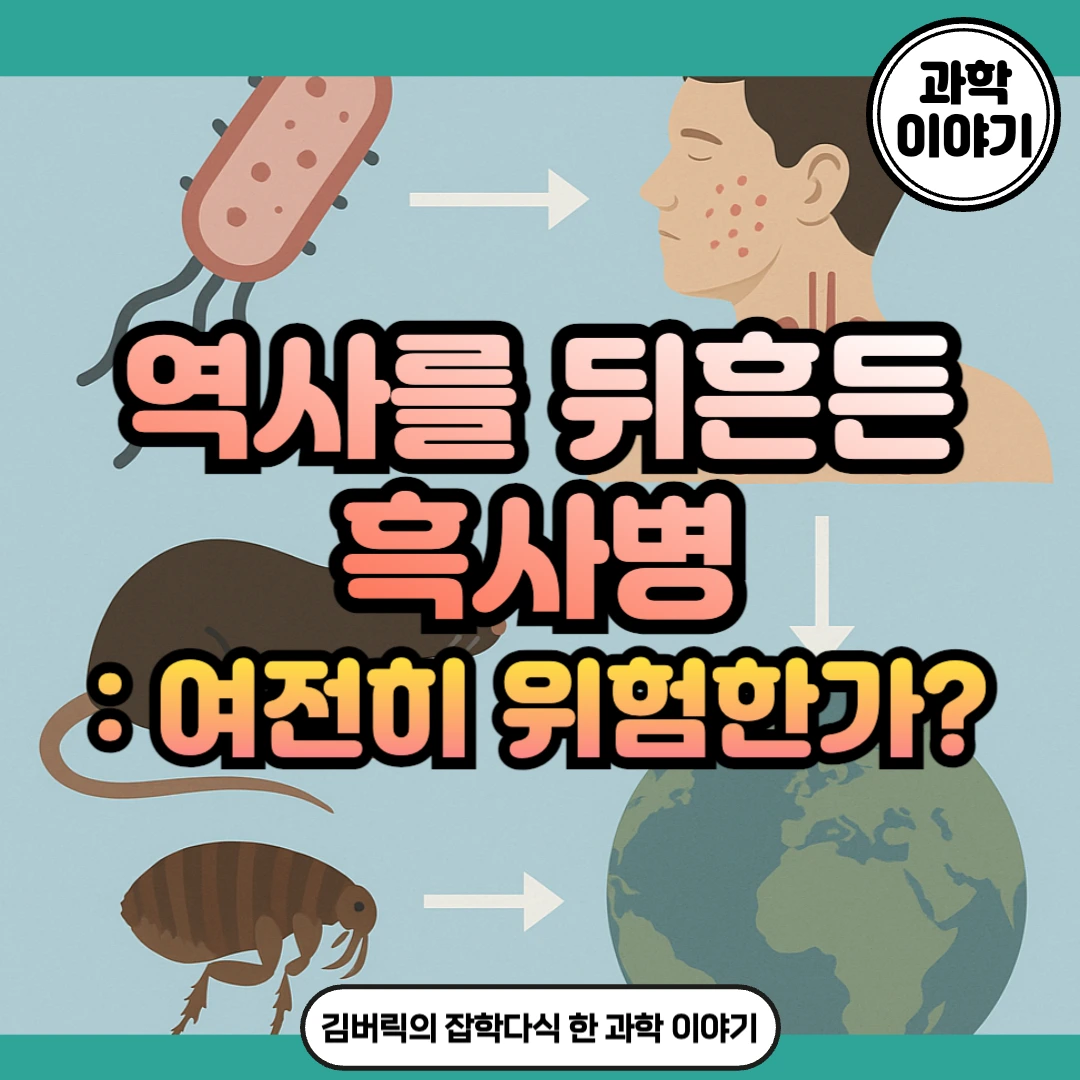 흑사병에 대해서