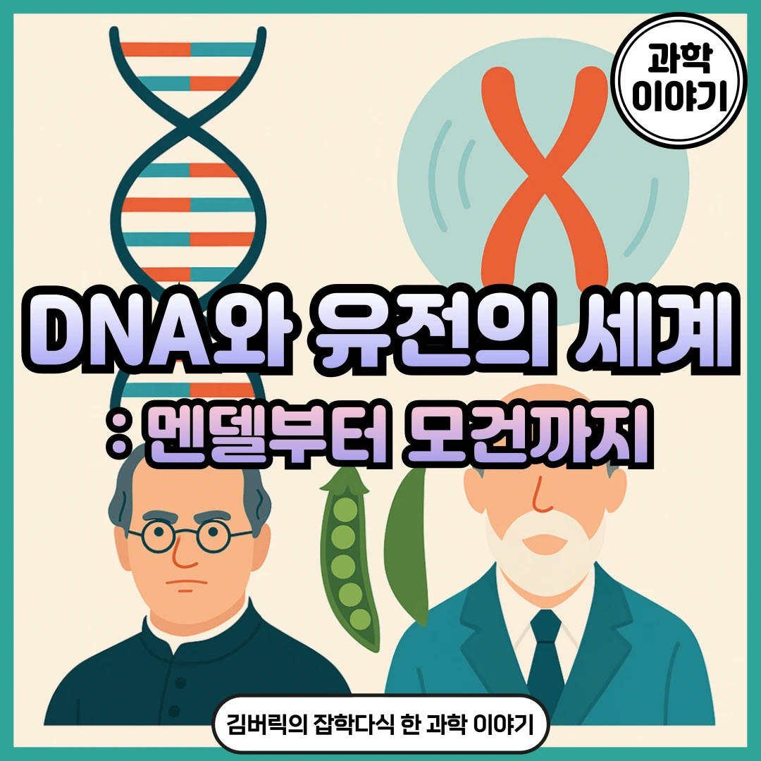 유전의 원리 6가지: DNA, 염색체, 멘델의 유전 법칙, 모건까지 한눈에 - 김버릭의 블로그