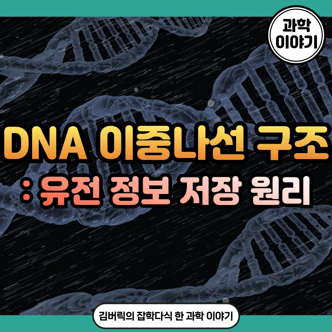 DNA 이중나선 구조