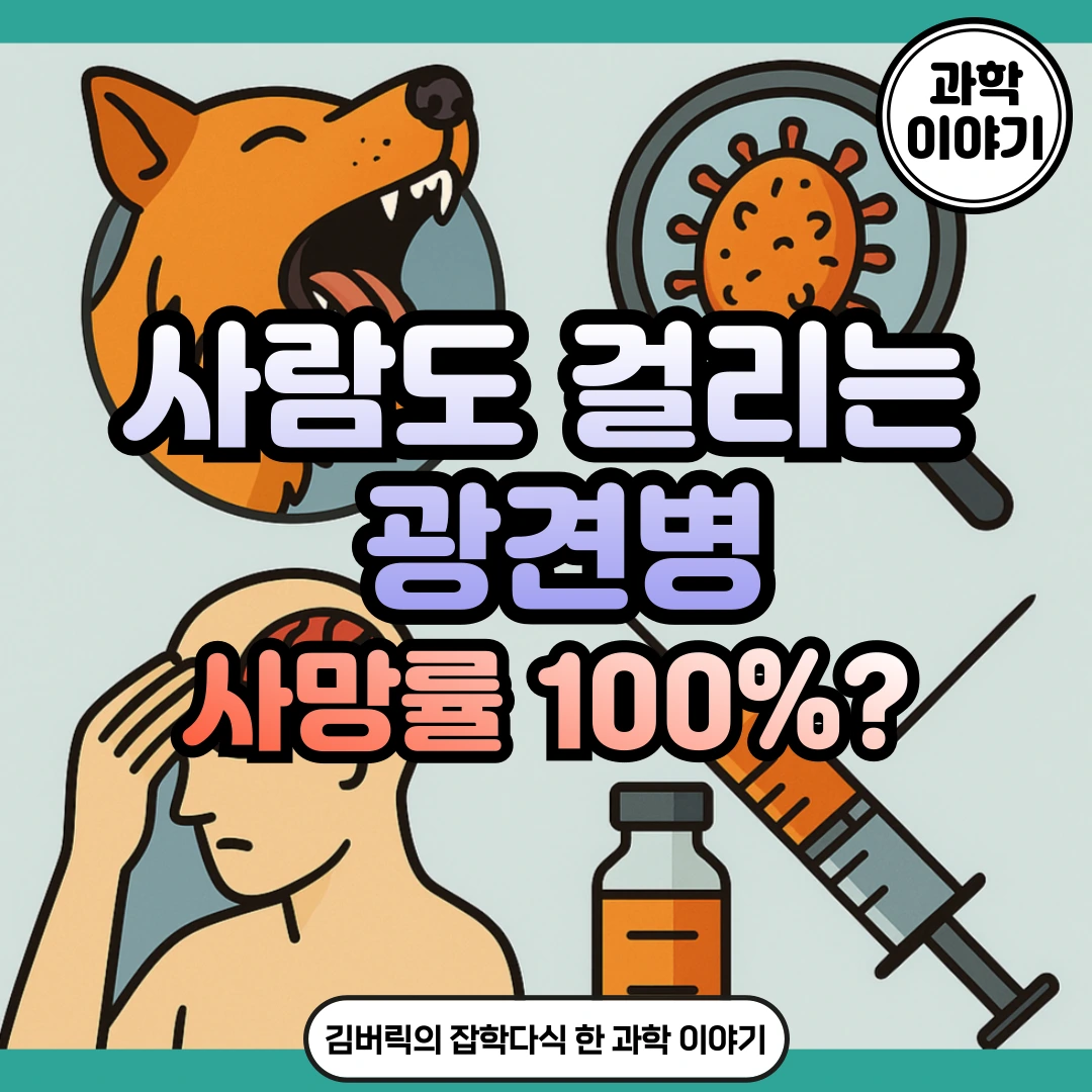 인수공통감염병 광견병