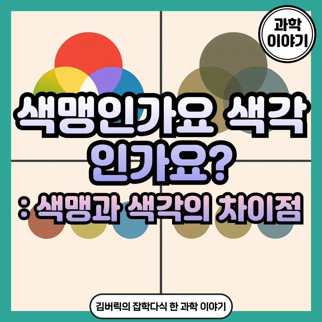 8%의 남성이 겪는 색각 이상, 색맹과 색약 그리고 적록색맹과 색약 - 김버릭의 블로그