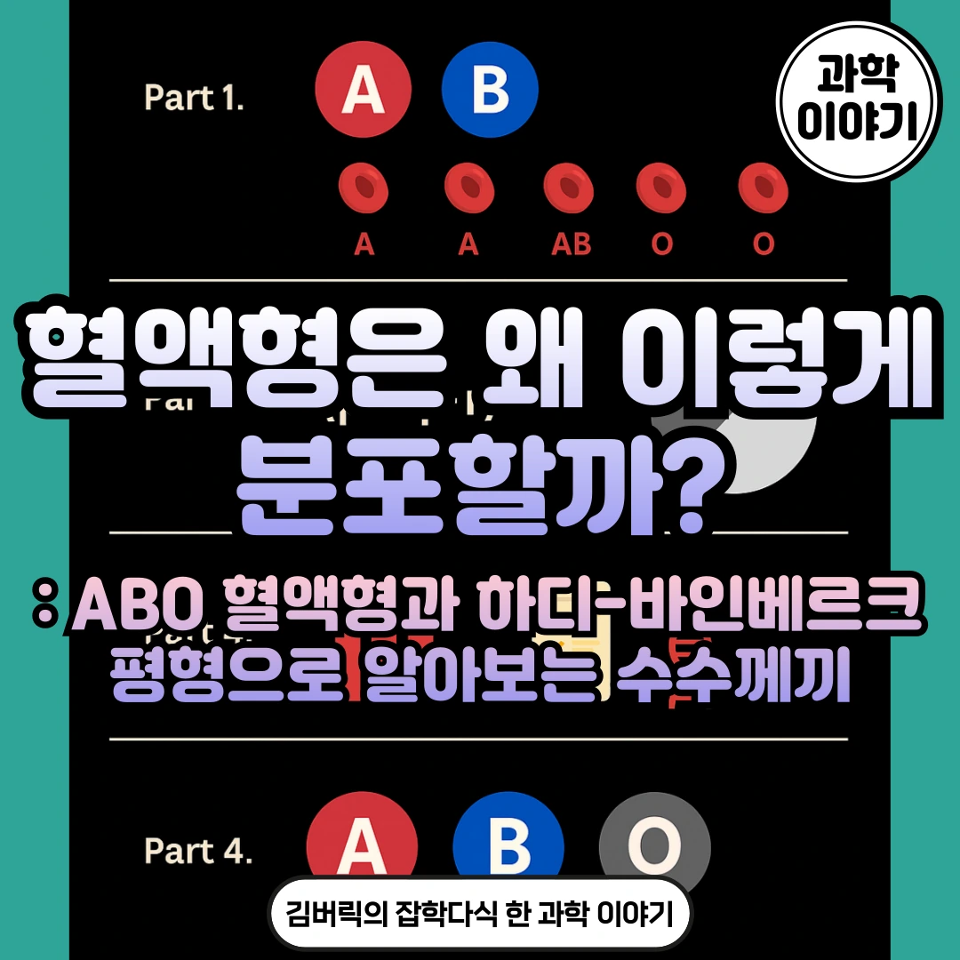 ABO혈액형과 하디 바인베르크 평형