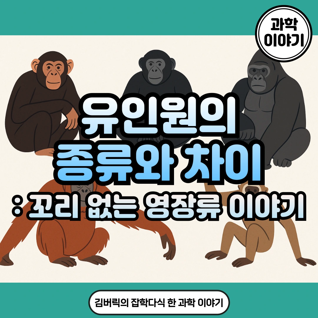 유인원 이야기
