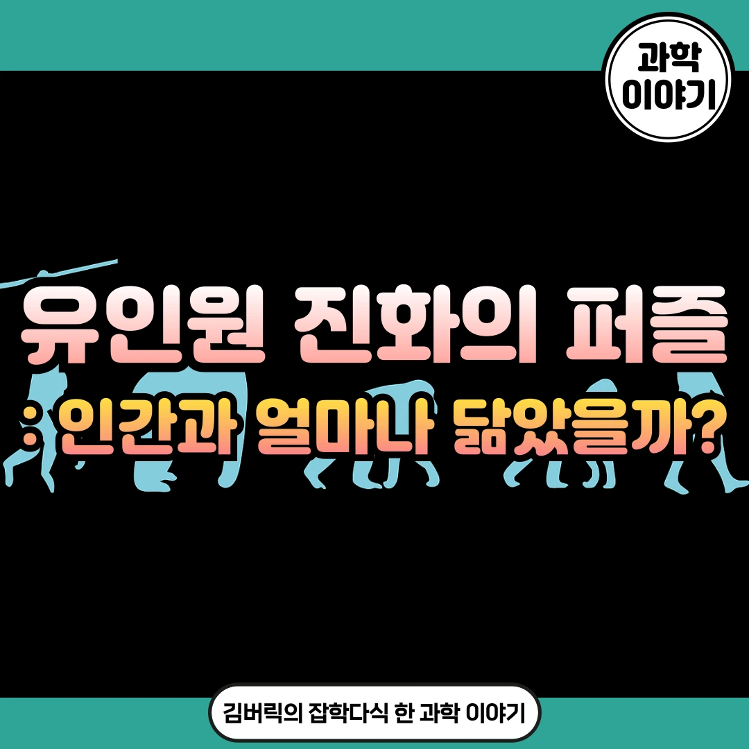 유인원과 진화