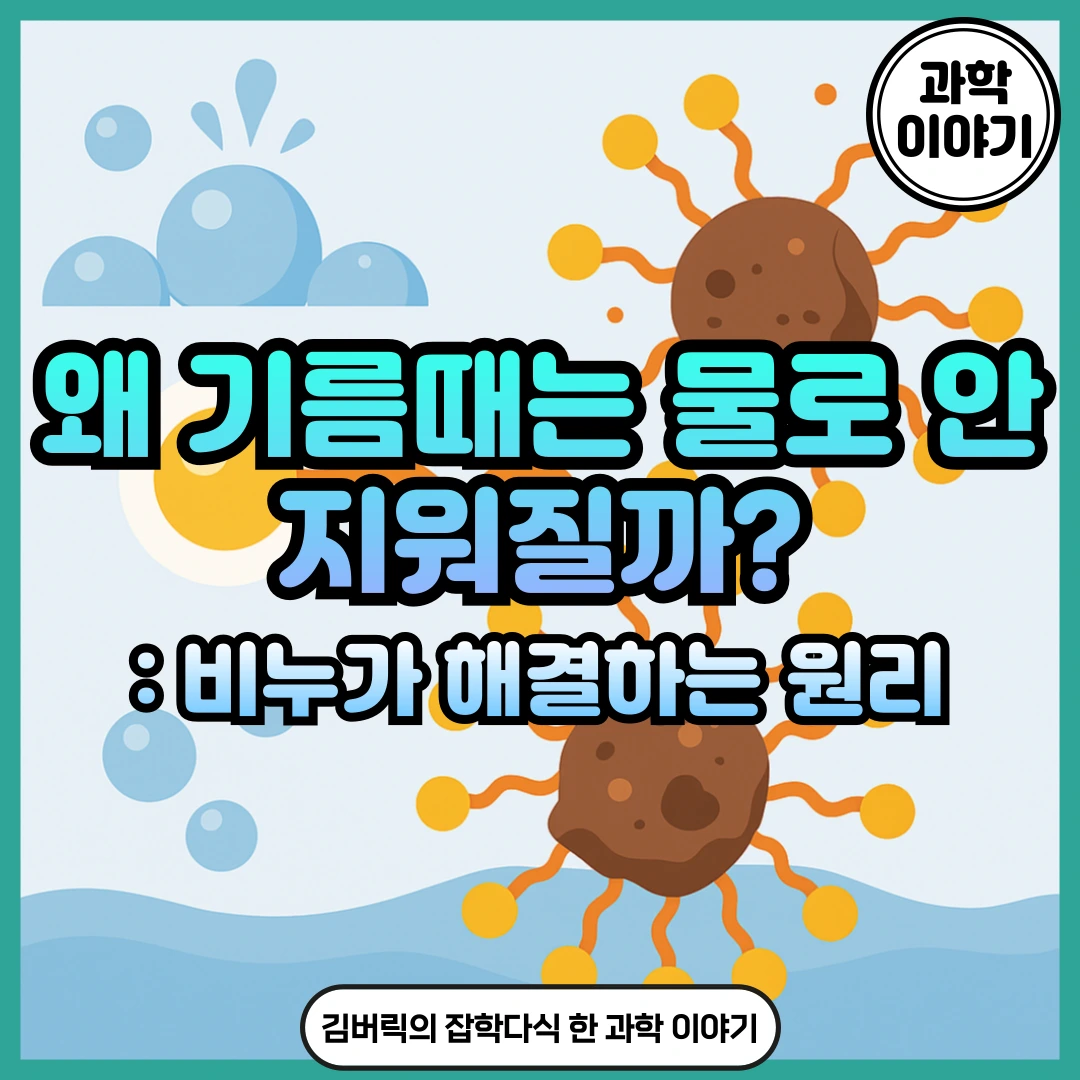 비누 거품