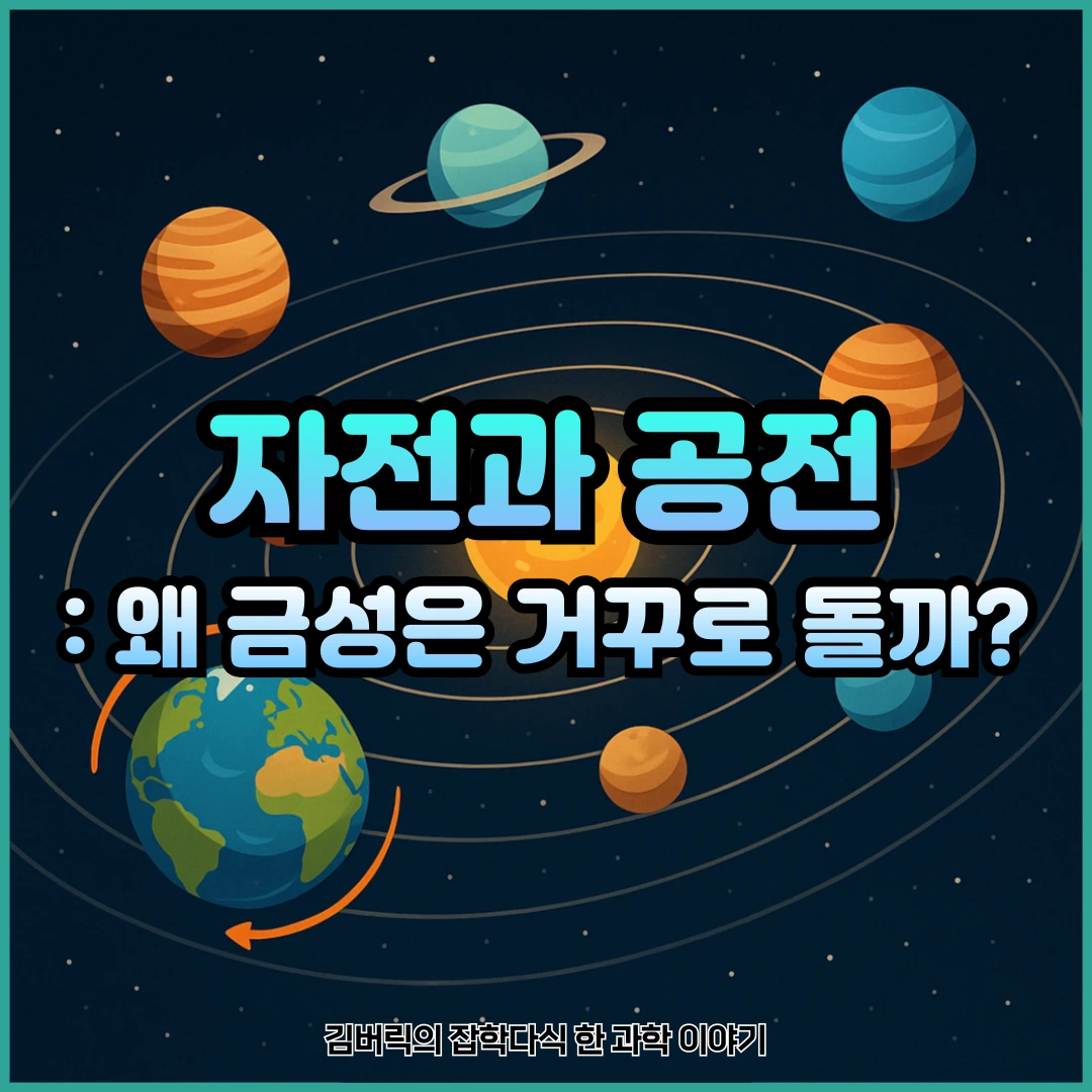 자전과 공전